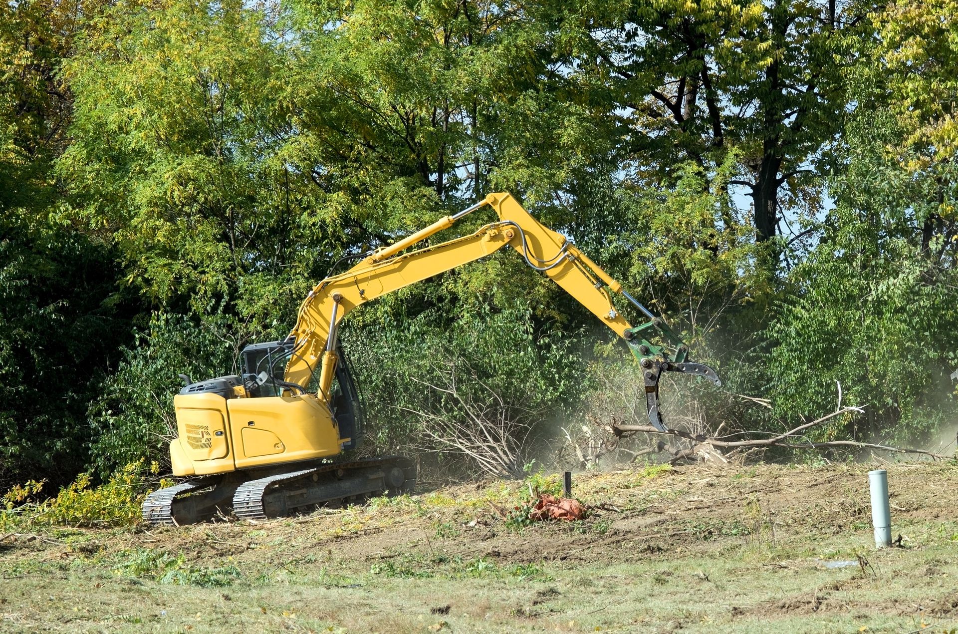 Top 5 Methods of Land Clearing | Which Is Right for You?