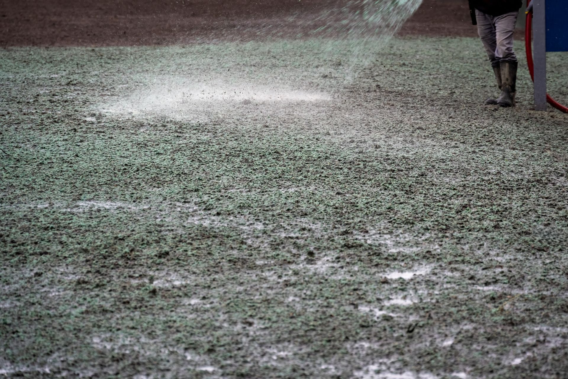 Hydroseeding is primarily used to establish grass and wildflowers