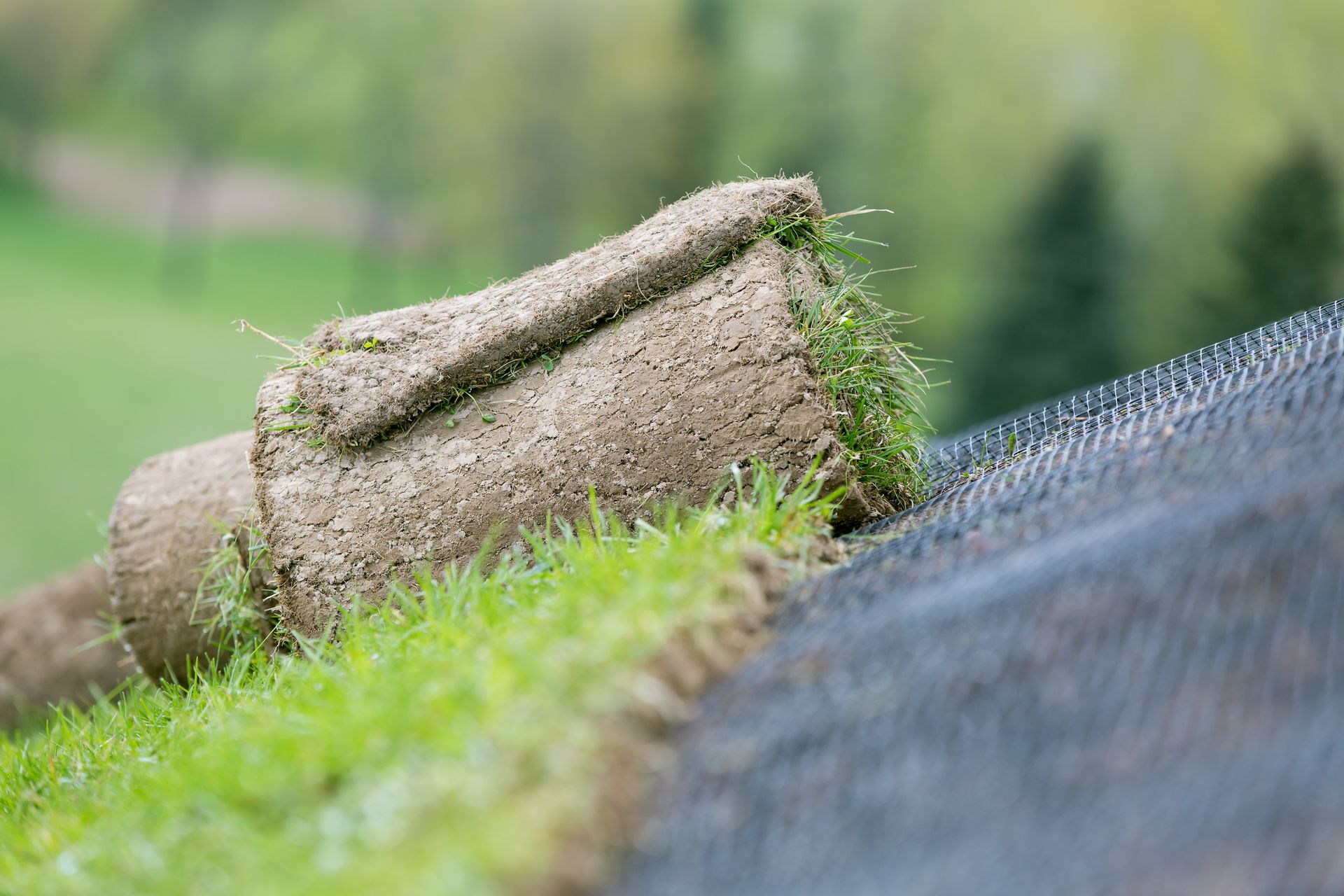 9 Benefits of Sodding for Erosion Control